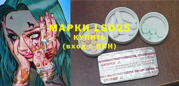 apvp Алзамай