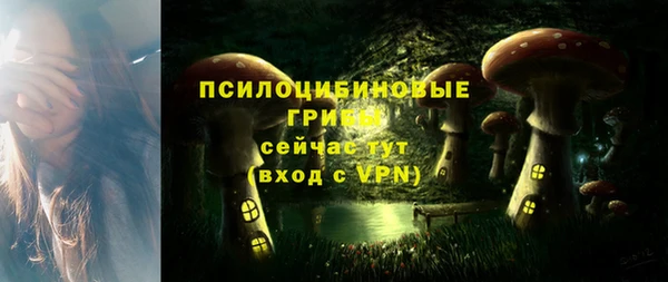 ALPHA PVP Алексеевка