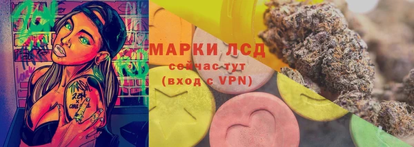 apvp Алзамай